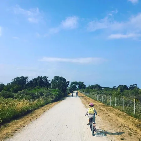 Strandpieper *