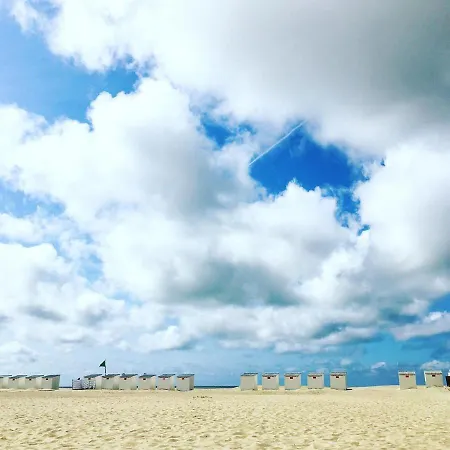 Strandpieper *