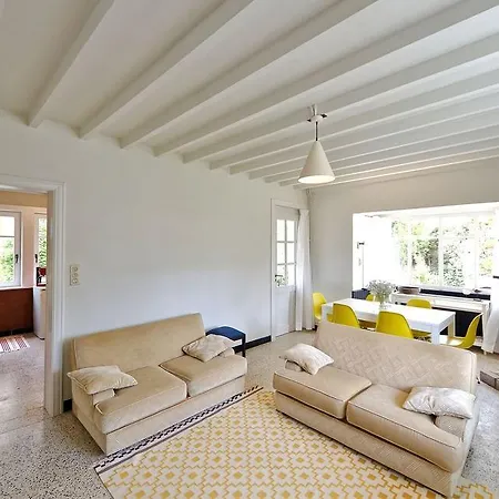 Strandpieper * オーストダインケルケ